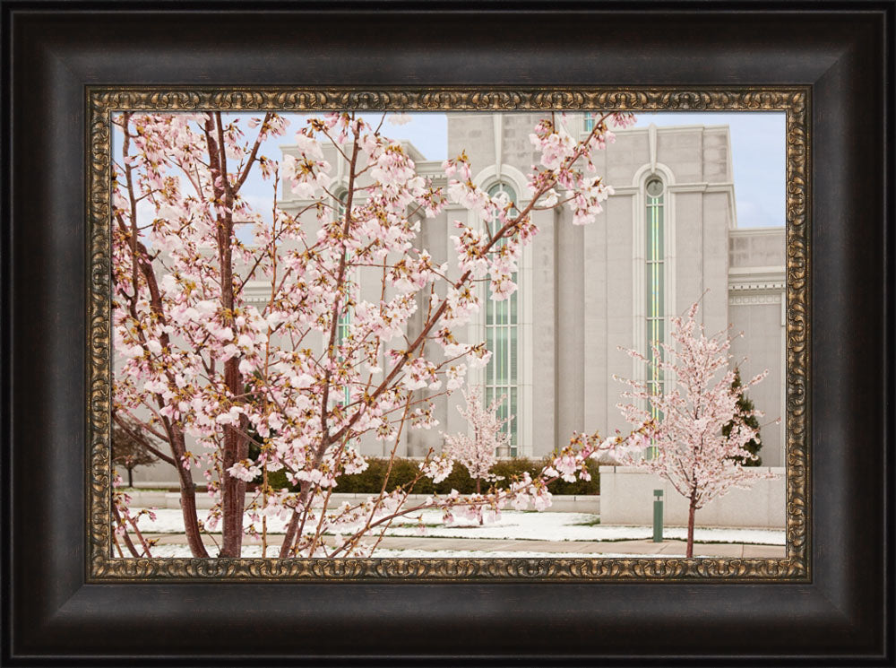 Mt Timpanogos Temple - Cherry Blossoms by Robert A Boyd