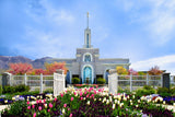 Mt Timpanogos Temple - Spring Tulips by Robert A Boyd