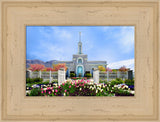 Mt Timpanogos Temple - Spring Tulips by Robert A Boyd