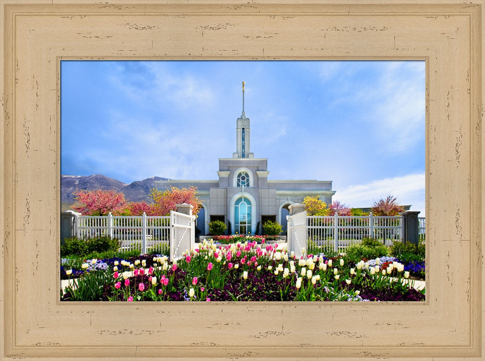 Mt Timpanogos Temple - Spring Tulips by Robert A Boyd