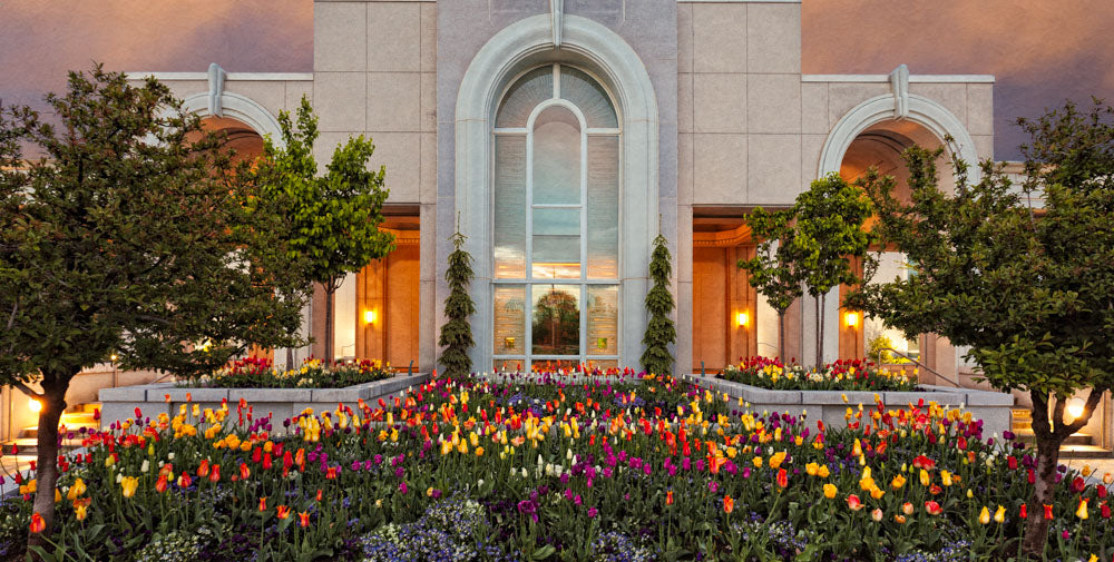 Mt Timpanogos Temple - Blooming Spring by Robert A Boyd