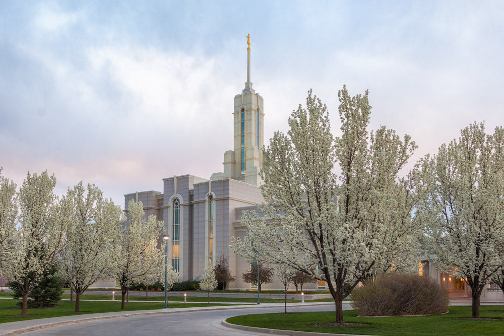 Mt Timpanogos Temple - Spring Blossoms by Robert A Boyd