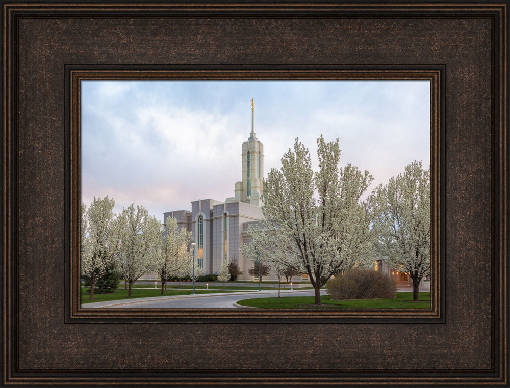 Mt Timpanogos Temple - Spring Blossoms by Robert A Boyd