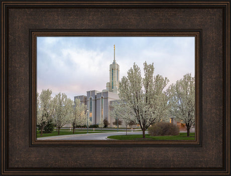 Mt Timpanogos Temple - Spring Blossoms by Robert A Boyd