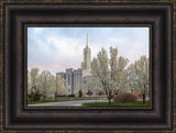 Mt Timpanogos Temple - Spring Blossoms by Robert A Boyd