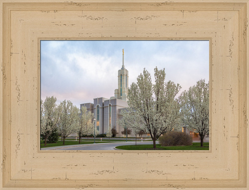 Mt Timpanogos Temple - Spring Blossoms by Robert A Boyd