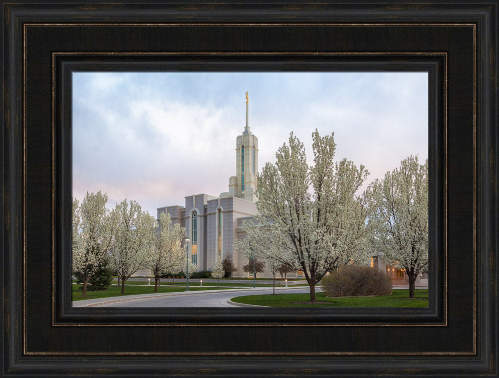 Mt Timpanogos Temple - Spring Blossoms by Robert A Boyd