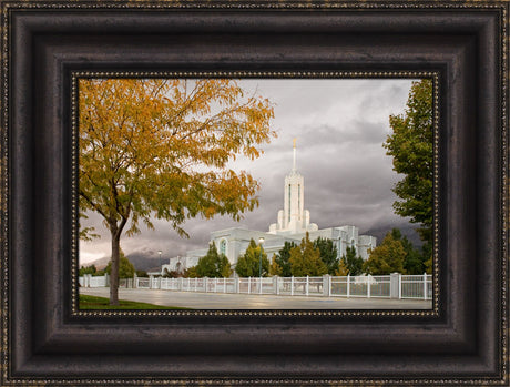 Mt Timpanogos Temple - Fall Yellow Trees by Robert A Boyd