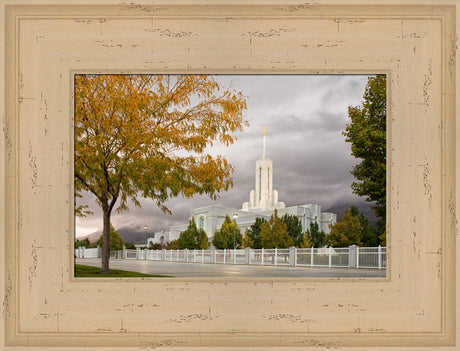 Mt Timpanogos Temple - Fall Yellow Trees by Robert A Boyd