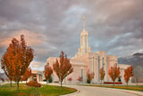 Mt Timpanogos Temple - Autumn Trees by Robert A Boyd