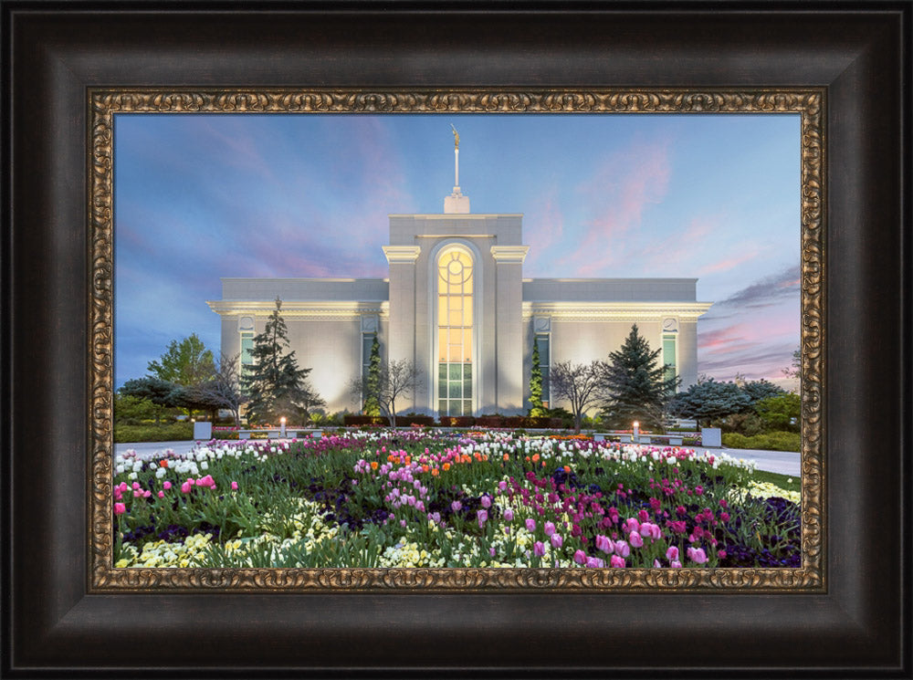 Mt Timpanogos Temple - First Blossom by Robert A Boyd