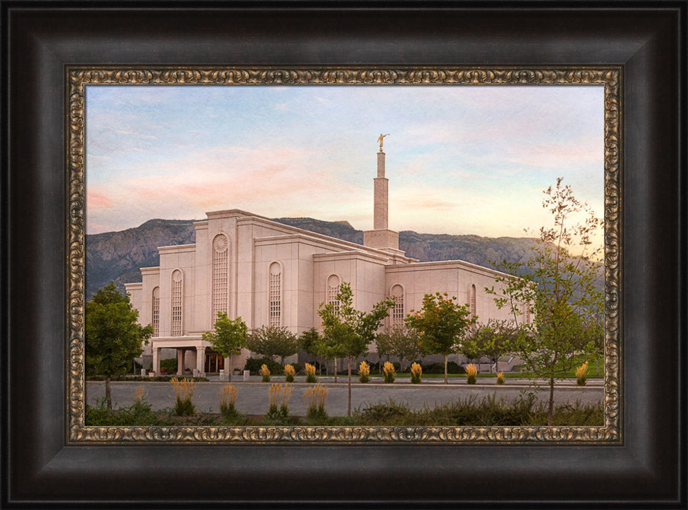 Albuquerque Temple - Holy Places Series by Robert A Boyd