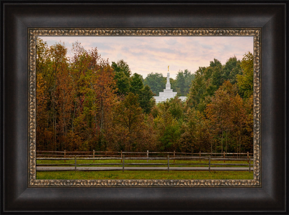 Palmyra Temple - Through the Trees by Robert A Boyd