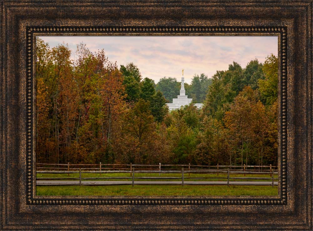 Palmyra Temple - Through the Trees by Robert A Boyd