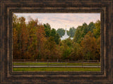 Palmyra Temple - Through the Trees by Robert A Boyd