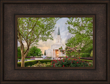 Houston Temple - Blossoms by Robert A Boyd