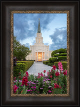 Houston Temple - Spring Tulips by Robert A Boyd