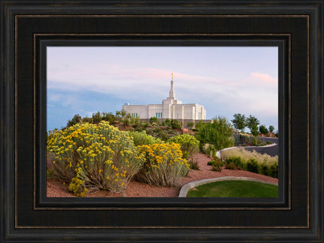 Snowflake Temple - Desertscape by Robert A Boyd