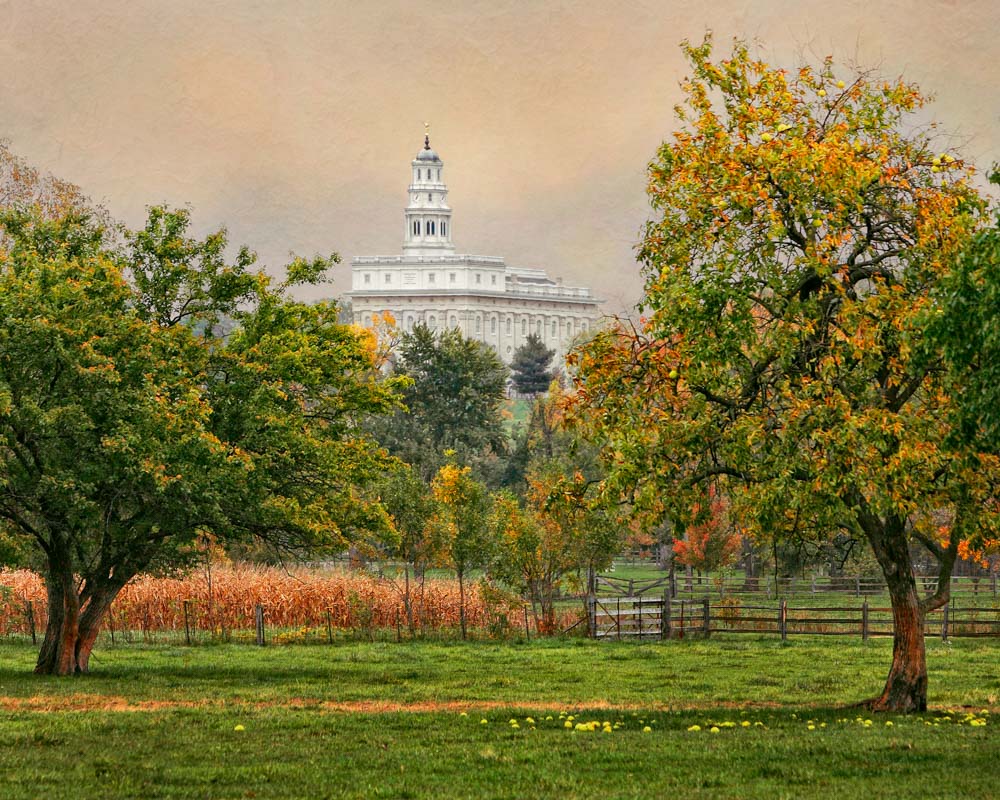 Nauvoo Temple - Apple Tree by Robert A Boyd