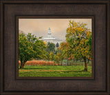 Nauvoo Temple - Apple Tree by Robert A Boyd