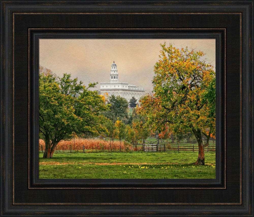 Nauvoo Temple - Apple Tree by Robert A Boyd