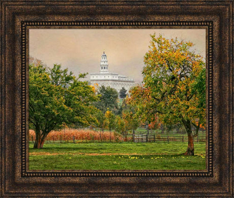 Nauvoo Temple - Apple Tree by Robert A Boyd