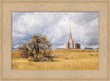 Oquirrh Mountain Temple - Tree and Field by Robert A Boyd