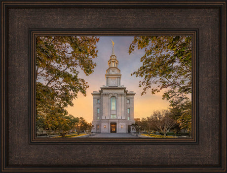 Philadelphia Temple - Through the Trees by Robert A Boyd