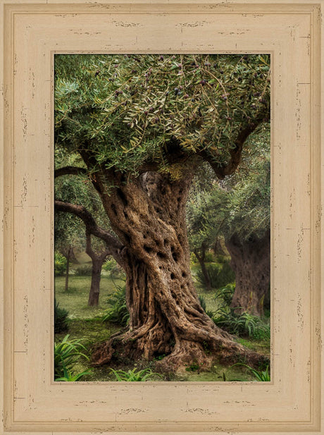 Gethsemane by Robert A Boyd