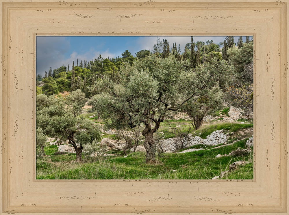 Mount of Olives by Robert A Boyd