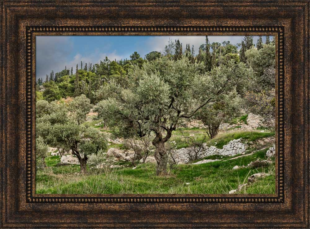 Mount of Olives by Robert A Boyd