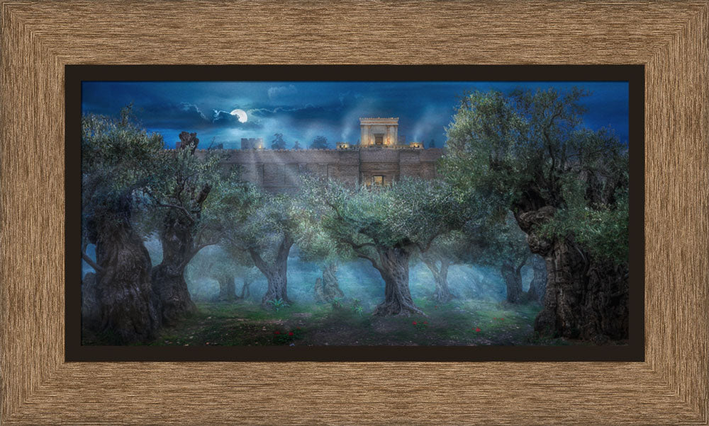 Garden of Gethsemane by Robert A Boyd