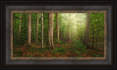 Sacred Grove - panoramic by Robert A Boyd