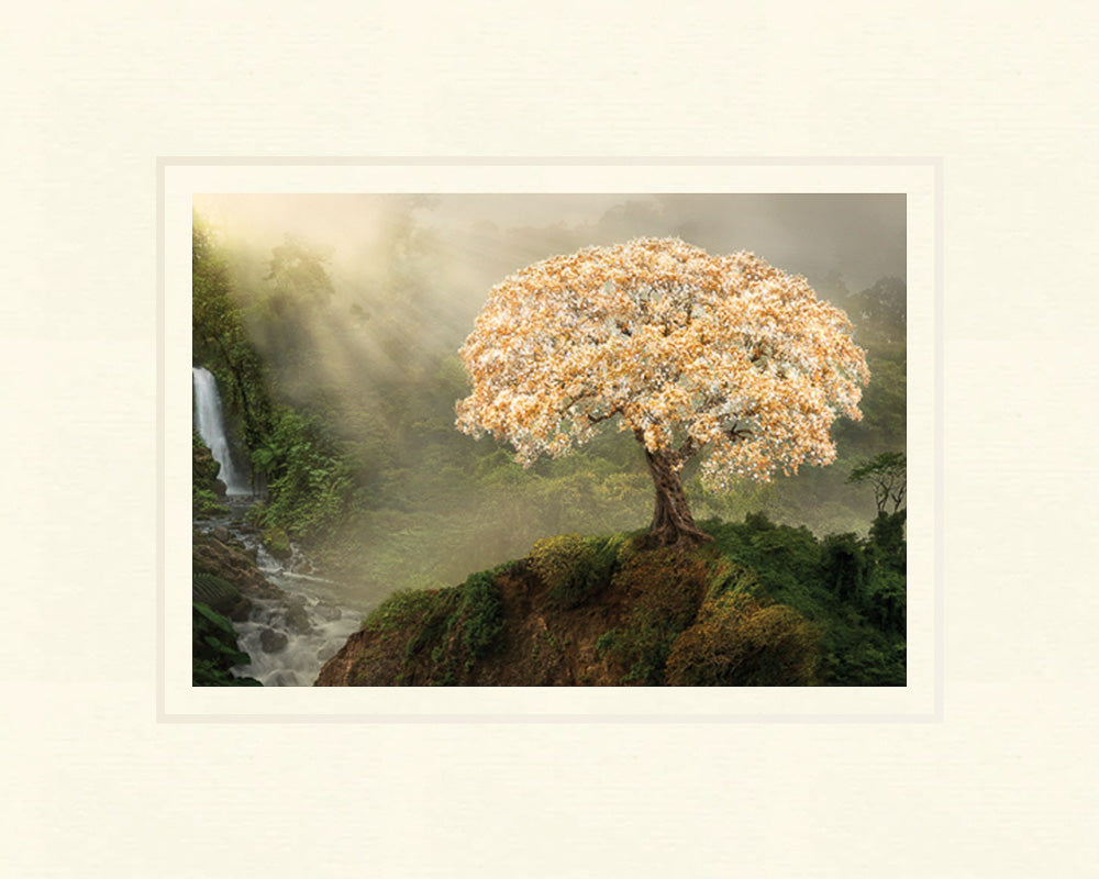 Tree of Life - Altus Fine Art - 4