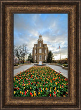 Logan Temple - Tulips by Scott Jarvie