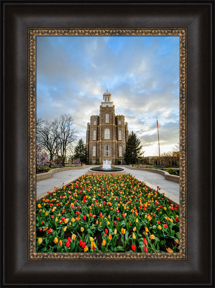 Logan Temple - Tulips by Scott Jarvie