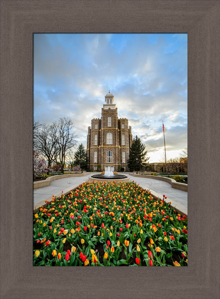 Logan Temple - Tulips by Scott Jarvie