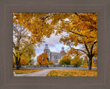 Logan Temple - Tunnel of Fall by Scott Jarvie