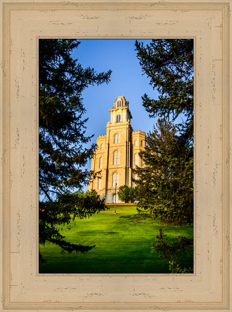 Manti Temple - Through the Trees by Scott Jarvie