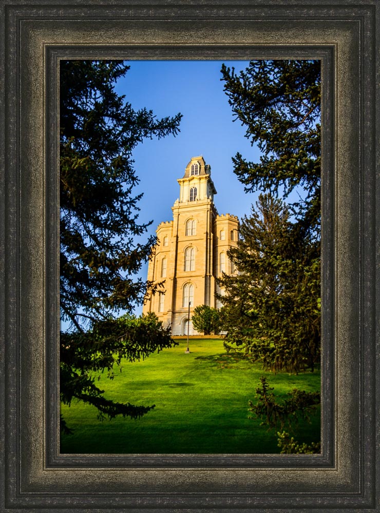 Manti Temple - Through the Trees by Scott Jarvie