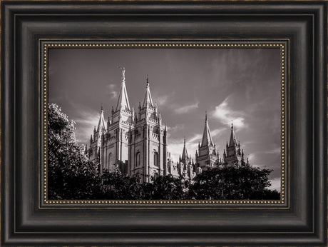 Salt Lake Temple - Black and White by Scott Jarvie