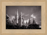 Salt Lake Temple - Black and White by Scott Jarvie