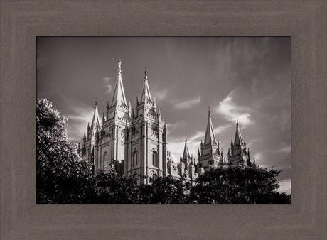 Salt Lake Temple - Black and White by Scott Jarvie