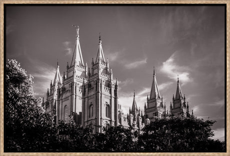 Salt Lake Temple - Black and White by Scott Jarvie