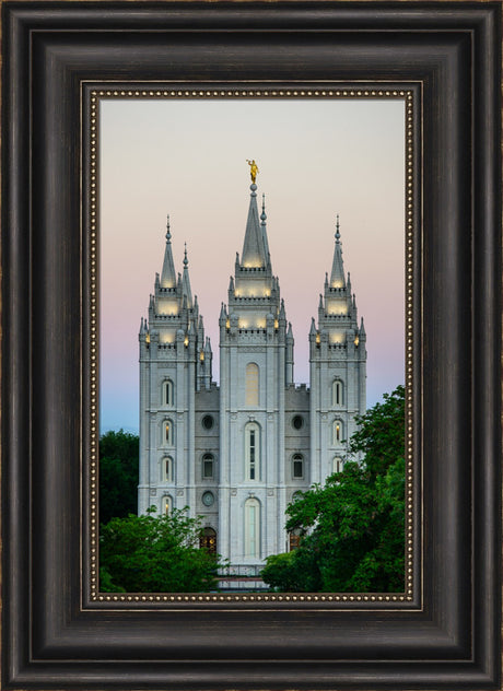 Salt Lake Temple - Morning by Scott Jarvie