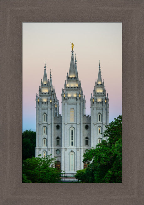 Salt Lake Temple - Morning by Scott Jarvie