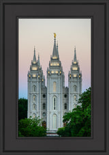 Salt Lake Temple - Morning by Scott Jarvie