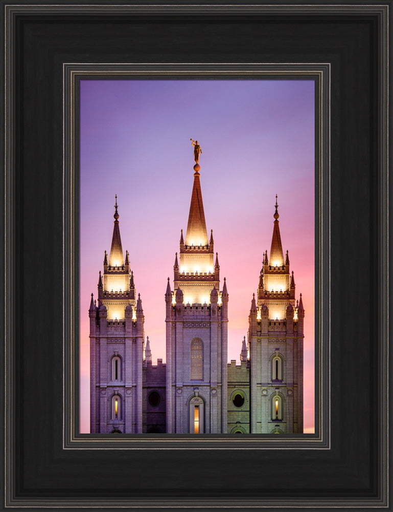 Salt Lake Temple - Pink Spires by Scott Jarvie