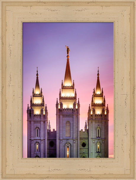 Salt Lake Temple - Pink Spires by Scott Jarvie