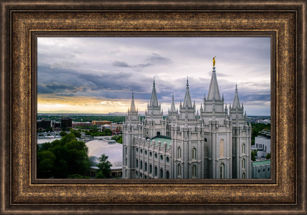 Salt Lake Temple - From Above by Scott Jarvie